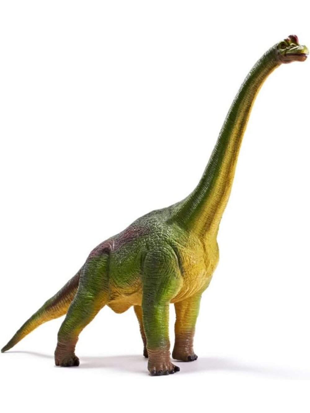 Jumbo Brachiosaurus Dinosaur Toy - 20.5" Realistic Hand-Painted Figure for Kids